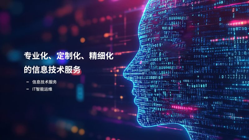 小标题：企业IT外包的必要性